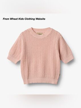 EUC: WHEAT ALVA KNIT SWEATER TOP IN POWDER PINK (3Y)